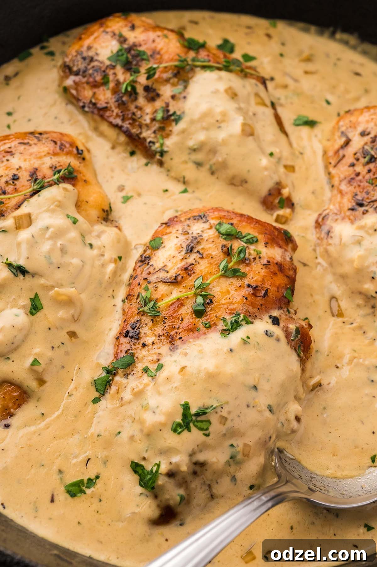 creamy Boursin chicken breasts in a skillet with fresh herbs on top.